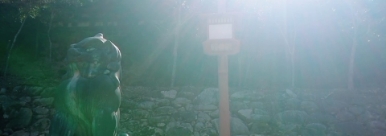 お得なパスポート