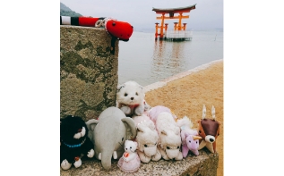 ぬいぐるみ入魂